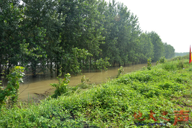 　　二、虽然连续几日晴天，但是天兴洲大堤一侧的水位仍然居高不下。