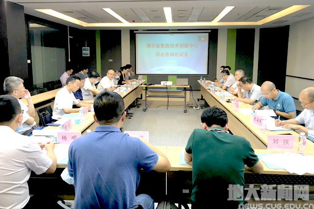 湖北省氢能技术创新中心通过专家咨询论证