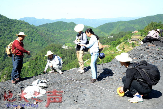 我校教师倪晓阳赴小河村开展科技扶贫